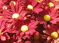 Bild 029